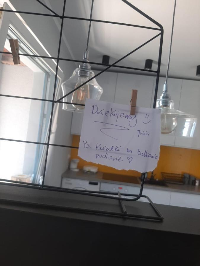 Koci Leb Torun