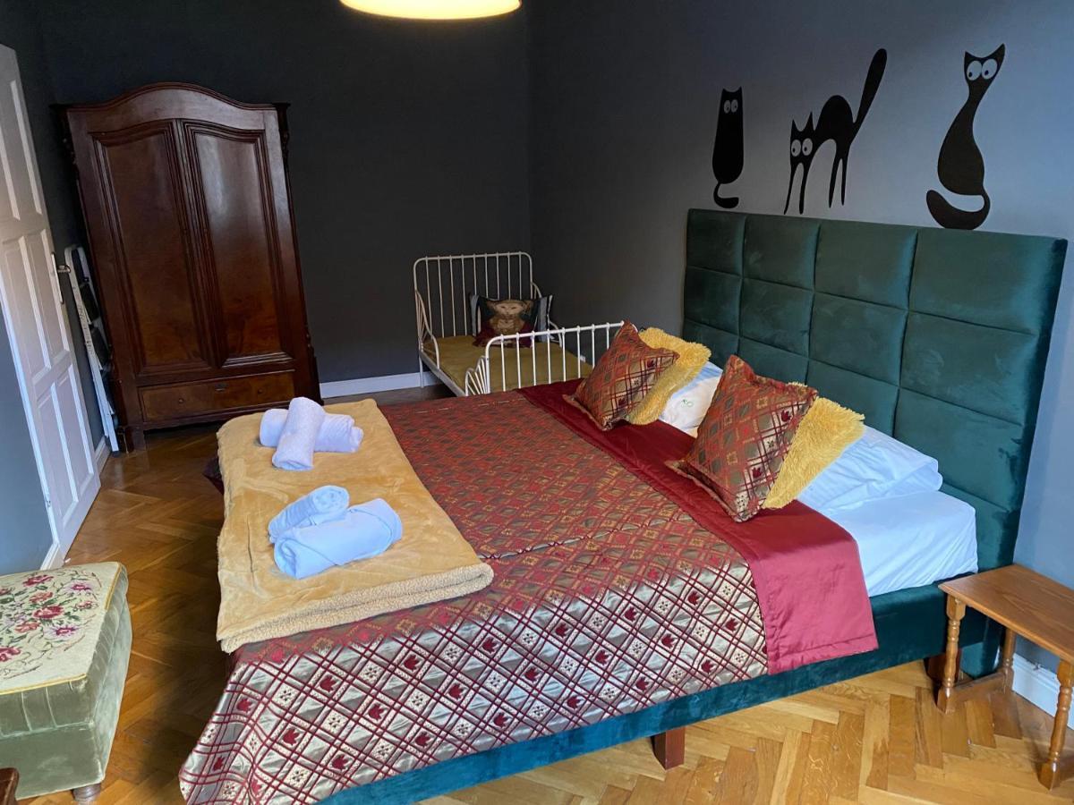 Koci Leb Torun